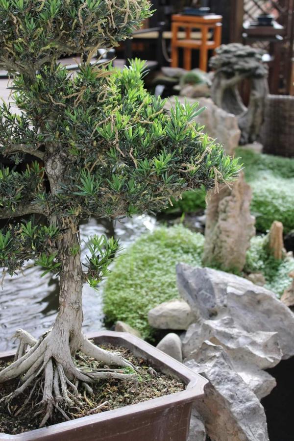 Zen Guest House - Museu Do Bonsai Sintra Exteriér fotografie