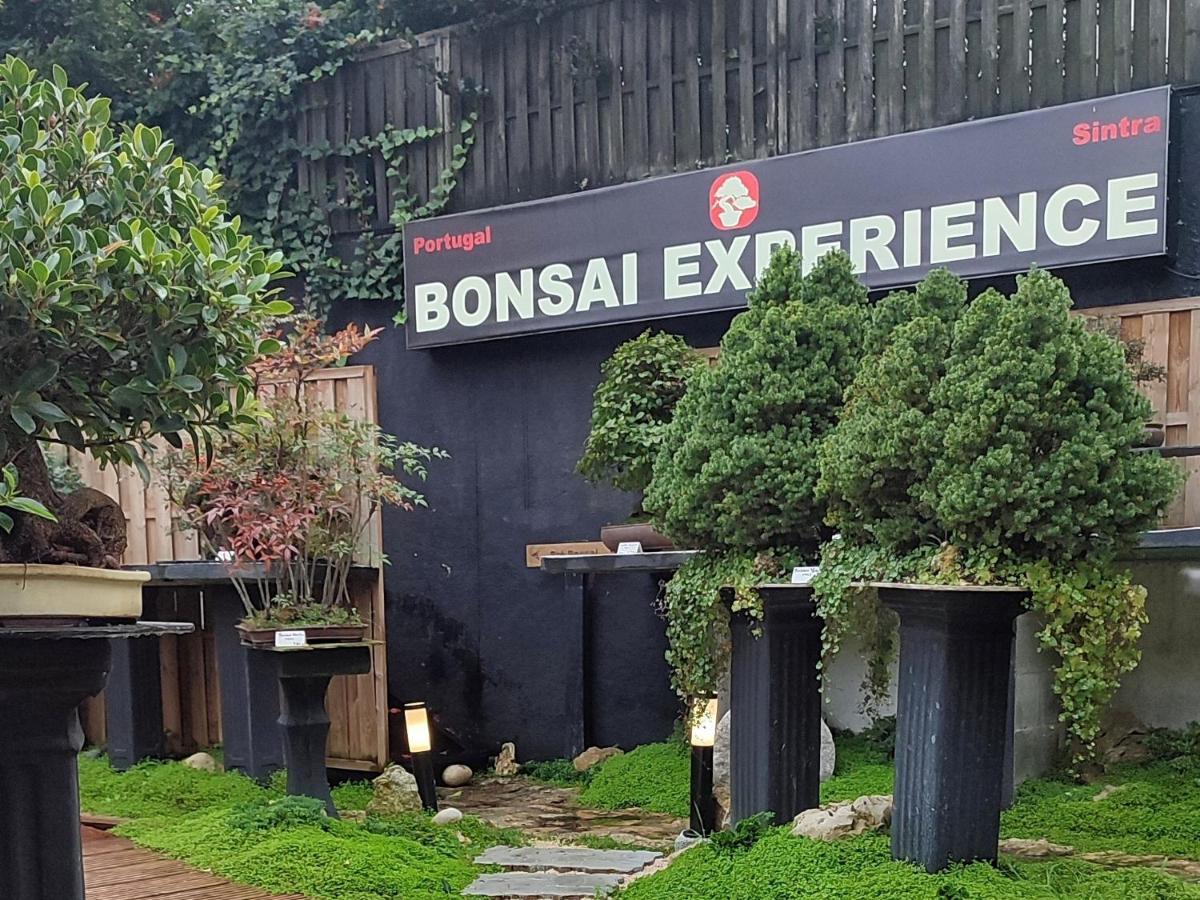Zen Guest House - Museu Do Bonsai Sintra Exteriér fotografie